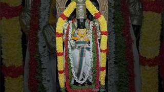 ஹரி ஓம் நாராயணா hari om narayanaa #பெருநகர் #காஞ்சிபுரம் #perunagar #உத்திரமேரூர் #perumal_songs