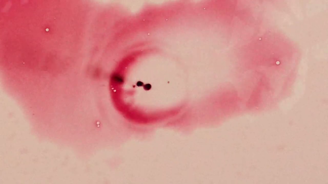 Diplo Hugel Stay High Feat Julia Church Chords Chordify