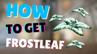How to get Frostleaf in Warframe