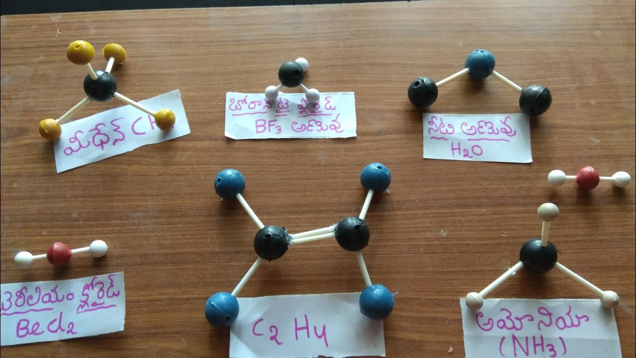 Building Molecular Models Activity At Diane Arnett Blog