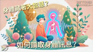 身體藏著大智慧？如何讀取身體訊息？｜從麻瓜起飛