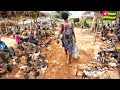 Rural  village market day in Zafi Togo west Africa. Cost of living in an African village 🇹🇬