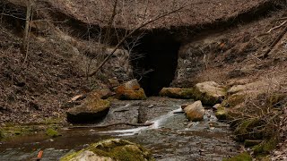 Biological Diversity at Indiana State Parks