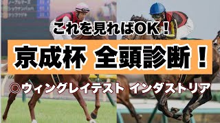 【京成杯】全頭診断　秋競馬の始まりは京成杯オータムハンデから！このハンデ戦簡単です！これを見ればOK！