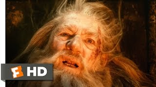 The Hobbit: The Desolation of Smaug - Fighting the Darkness Scene (5/10) | Movieclips