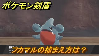 ポケモン剣盾　フカマルを捕まえる方法！オススメの場所は？天気は？ポケモン図鑑コンプへの道！　最新版【ポケモンソード・シールド】