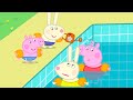 Natación | Peppa Pig en Español Episodios Completos