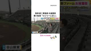 阪神新二軍施設「ゼロカーボンベースボールパーク」は「形状・広さ・方角」が甲子園と同じ！来月1日開業 #阪神タイガース