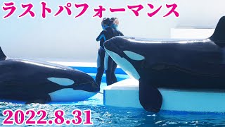 「ルーナとラストパフォーマンス」今までありがとうございました!! 鴨川シーワールド シャチショー KamogawaSeaWorld