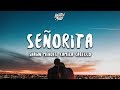 Shawn Mendes, Camila Cabello - Señorita (Lyrics)