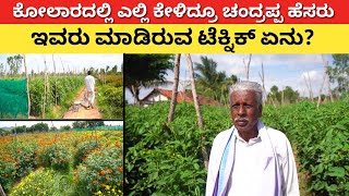 ಈ ರೈತ ಮಾಡಿರುವ ಟೆಕ್ನಿಕ್ ಒಮ್ಮೆ ನೋಡಿ | Modern Farming in Karnataka | META DAP best farming namma gromor