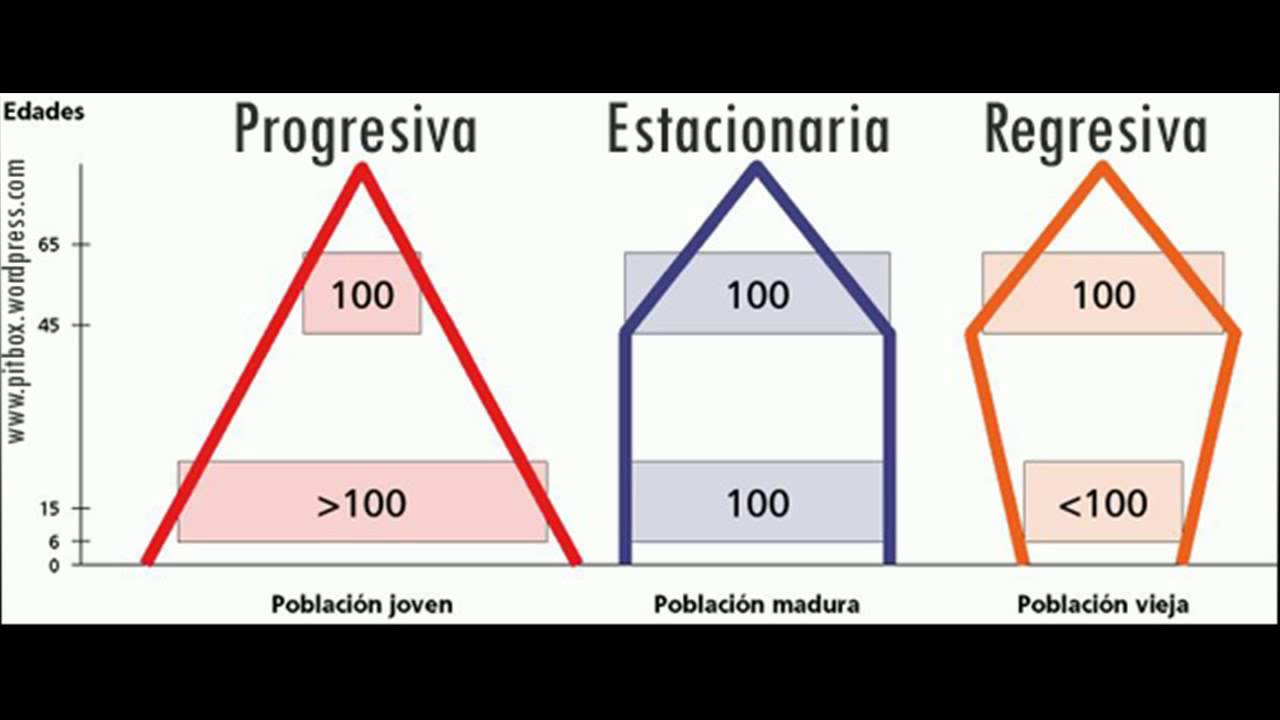 Tipos De Piramides De Poblacion