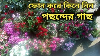 সেরা নার্সারি থেকে গাছ কিনুন | Best Flower Tree , Fruit Tree , All Tree Price In Munny Nursery