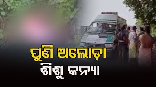 ପୁଣି ଅଲୋଡ଼ା ଶିଶୁ କନ୍ୟା | Odisha Reporter