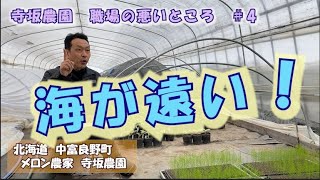 【職場のここが悪い＃4】寺坂農園　海が遠い！：北海道 富良野 メロン農家　求人 パート アルバイト スタッフ 求人 募集 短期 寮 短期 住み込み ok