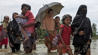 লতাপাতা খেয়ে বেঁচে আছে লুকিয়ে থাকা রোহিঙ্গারা