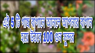 এই 5টি গাছ বাগানে থাকলে আপনার বাগান হয়ে উঠবে 100গুন বেশি সুন্দর || Top 5 most beautiful plants ||