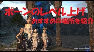 【DDON】ポーンのレベル上げにおすすめの場所～エピタフ編～