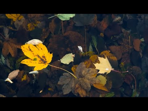 Relaxing Gunna Unreleased Playlist Youtube Music Relaxing Gunna Unreleased Playlist Youtube Music
