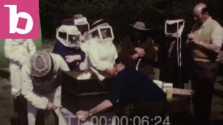 Clip of the Week - Beekeeping: 1970