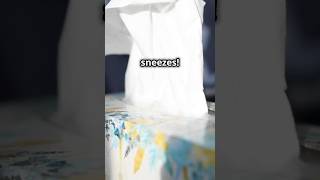 How tissues are made