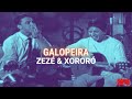 Xororó & Zezé - Galopeira