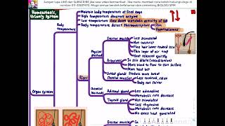 BIOLOGY KSSM F4- Chapter 13 Homeostasis and the Human Urinary System