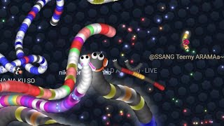 【スリザリオ】死に方がスッキリしない中央特攻【Slither.io】