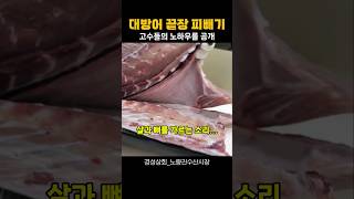 피를 쥐어 짜내서 완벽하게 빼내는 고수~ 깔끔한 대방어!