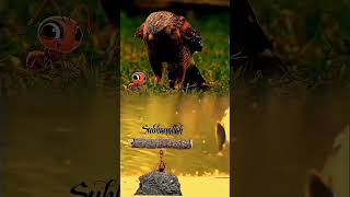 Surah An-Naml Quran Recitation | Bird #shorts #exploreshorts