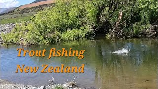 Flyfishing for New Zealand's wild trout