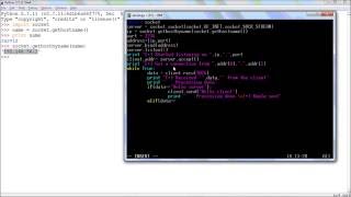 Python Networking : TCP socket tutorial | Client and Server model using python