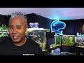 the water change guide for everyone 1 key to a healthy aquarium