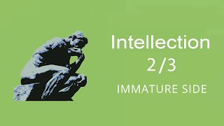 Intellection 2\\3 - Gallup Strengthsfinder