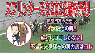 スプリンターズステークス2023最終予想【絶対にココしかない！今こそ不当に人気落ちのこの馬の復活の時】