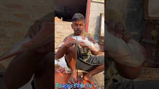 Incredible Giant Pangas Fish Cutting Techniques | Fish Cutting Skills