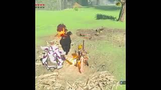 【BotW】ボコブリンが持っている弓をバレずに燃やしたぜ