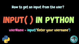 How to get an input from the user in Python? | Explained in English | Free Coding