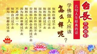 精彩节目问答｜梦见出车祸说明会碰到'尴尬'的事情, 现实当中要当心