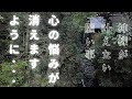 【参拝動画】三重県桑名市 多度大社の神様が叶えたい願い事を伝えます