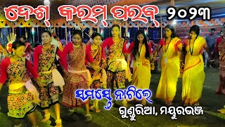 New Video // Desh Karam Parab // Gunduria // Baneikola //Mayurbhanj // Jhumar Stage Program