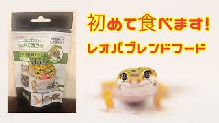 飼育VLOG【レオパブレンドフード】レオパ用の人工飼料をヒョウモントカゲモドキベビーにあげてみました。