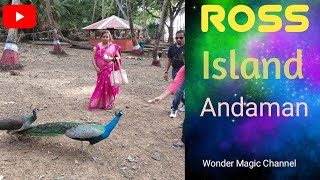 Beauty Of Ross Island 😄 Andaman Tour #andaman #rossisland