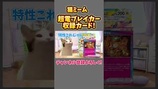 ポケカ 超電ブレイカーの収録カード!猫ミーム!