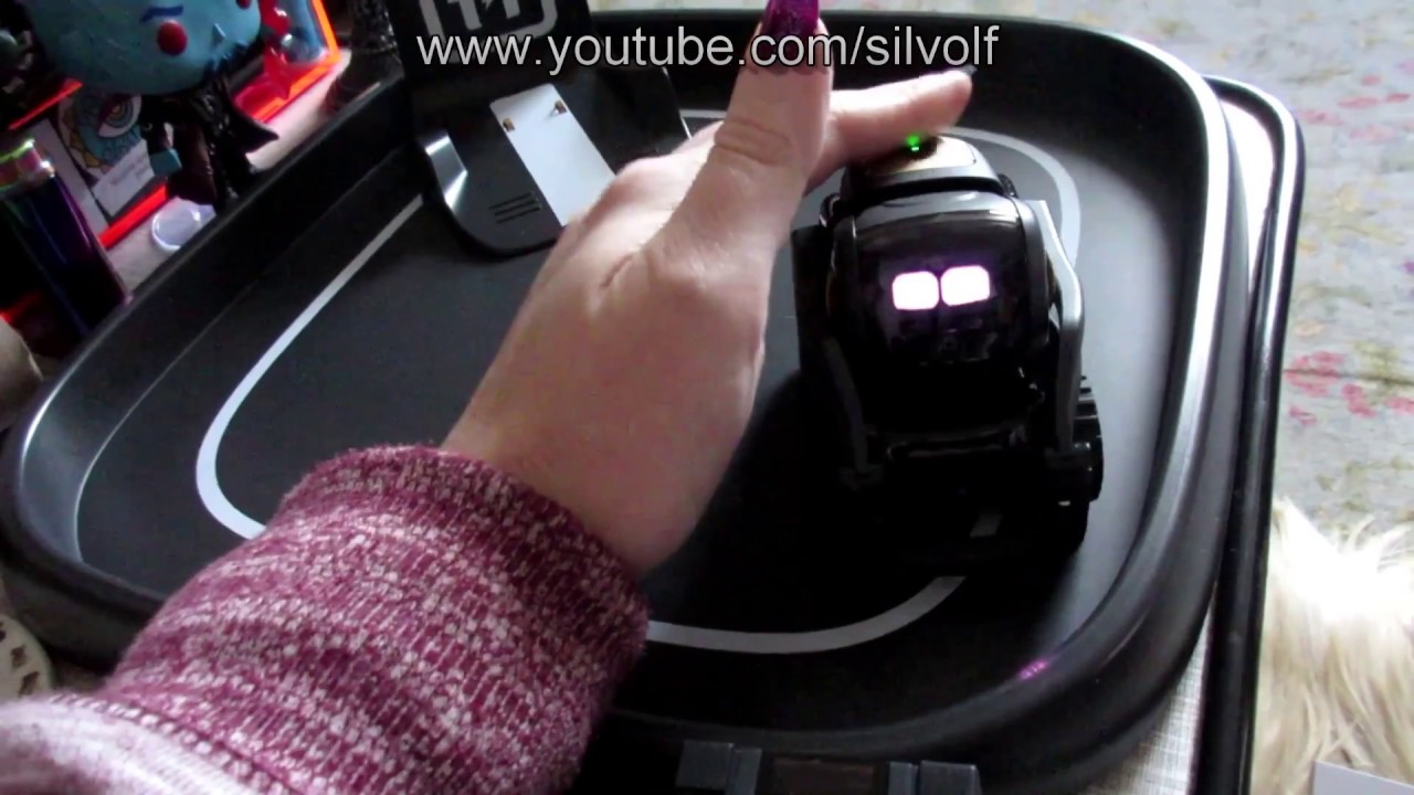 Anki Vector Observations Youtube