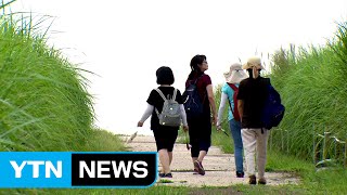 [날씨] 오늘도 불볕더위, 서울 35℃...모레 폭염 꺾여 / YTN (Yes! Top News)