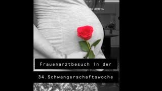 Frauenarztbesuch 😱(34.Schwangerschaftswoche)