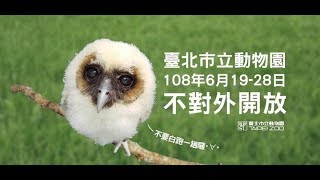 動物園「不對外開放」倒數6天~想逛園區請把握本週六、日