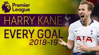 Tottenham's Harry Kane: Every goal through Matchweek 21 | Premier League | NBC Sports