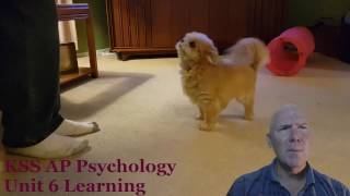 AP Psychology Unit 6 Learning Part 1